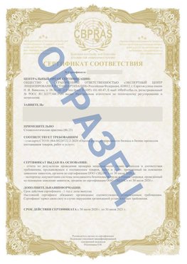 Образец Сертификат СТО 01.064.00220722.2-2020 Шадринск Сертификат СТО 01.064.00220722.2-2020 